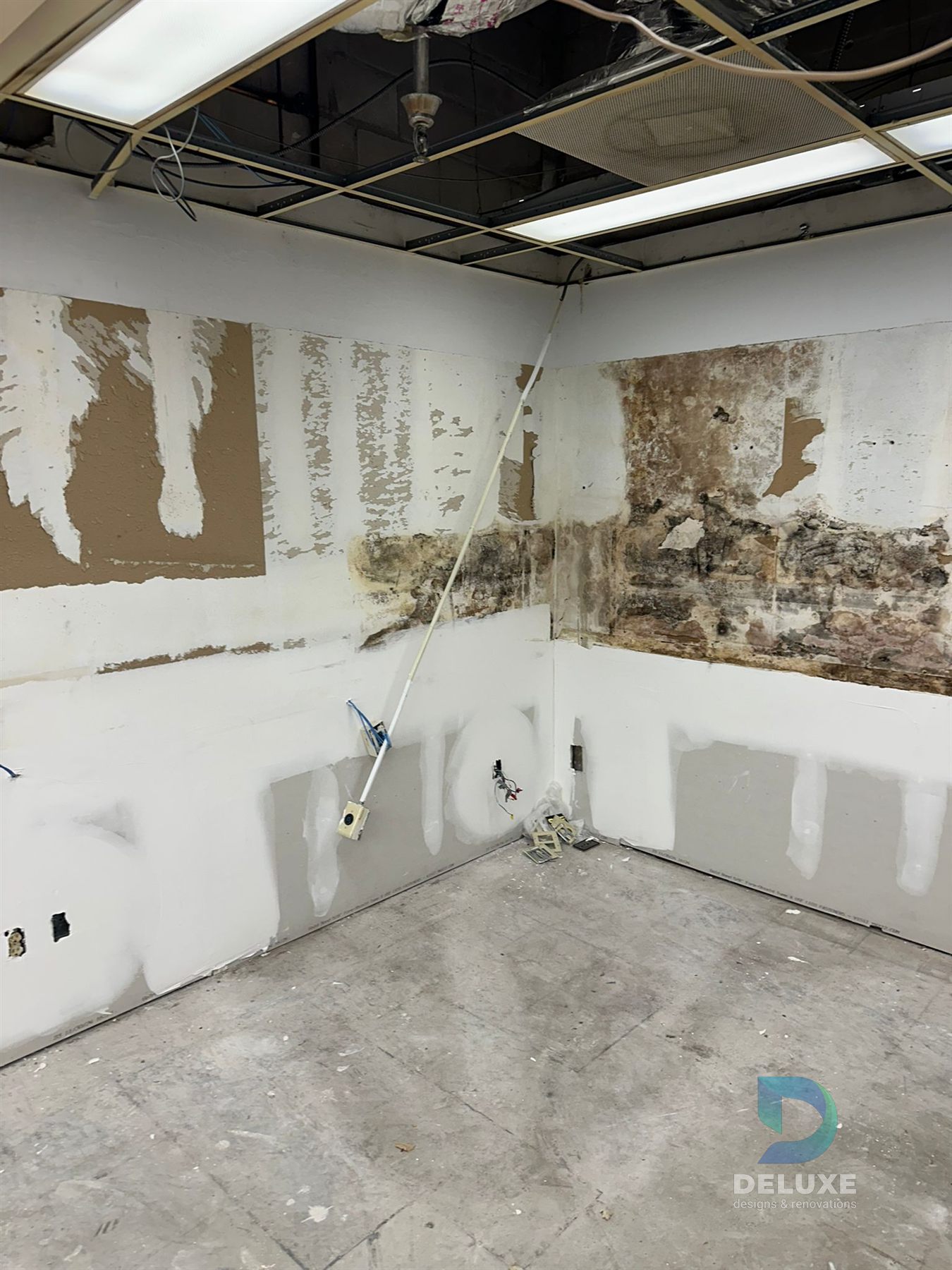 Walgreen Tampa commercial restoration project photo 30